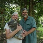  Travis Koala, Australia Zoo, Australia.4